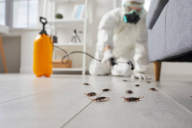 Post-Treatment Bed Bug Interceptor Monitoring in Cheval