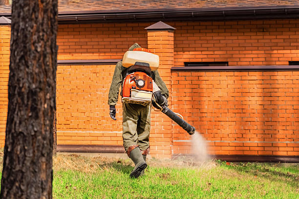 Bed Bug Clearance Verification and Documentation in Cheval